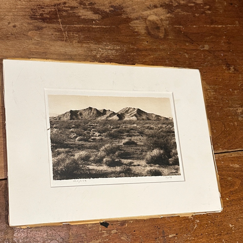 Vintage Desert Landscape Print